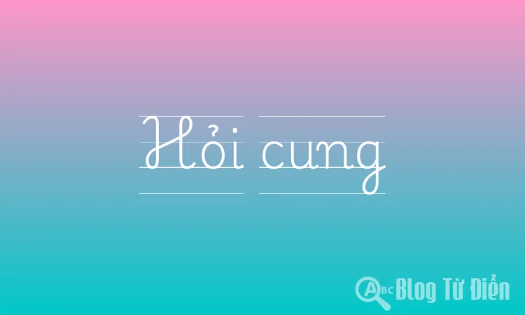 Hỏi cung