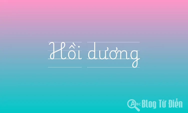 Hồi dương
