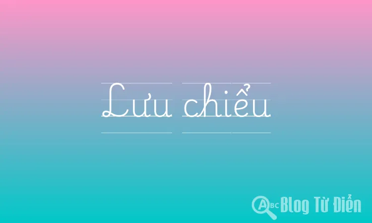 Lưu chiểu