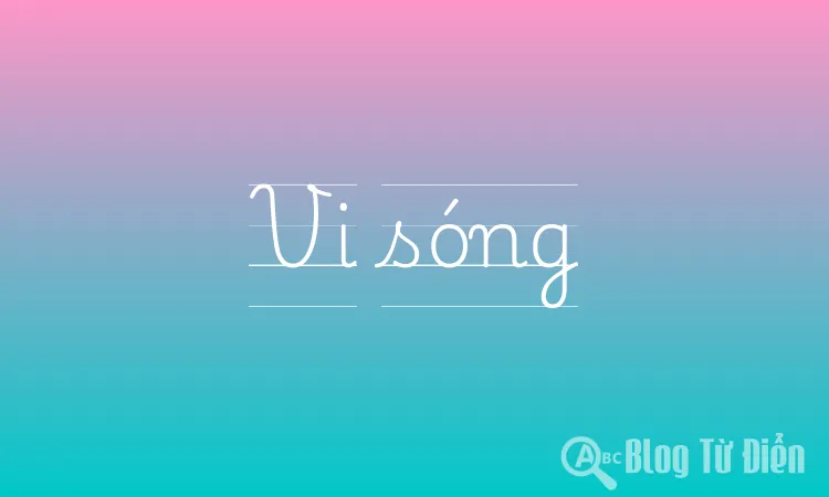 Vi sóng