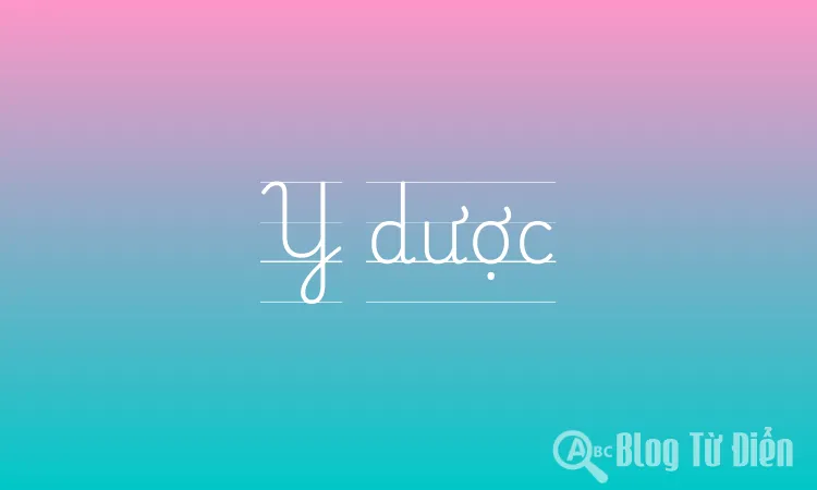 Y dược