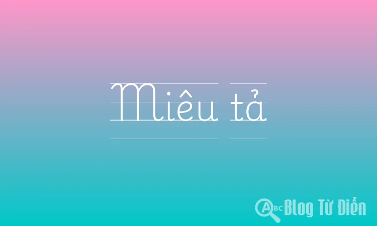 Miêu tả là gì?