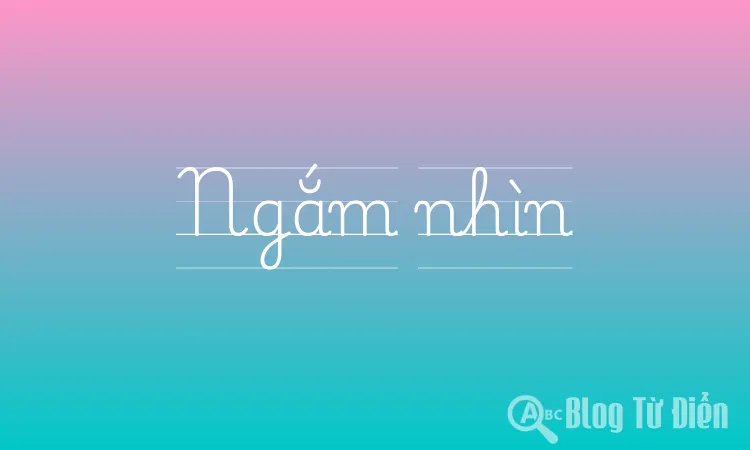 Ngắm nhìn