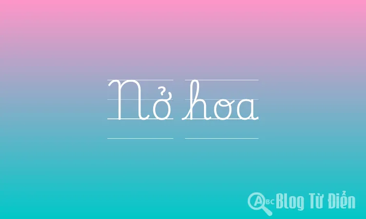 Nở hoa