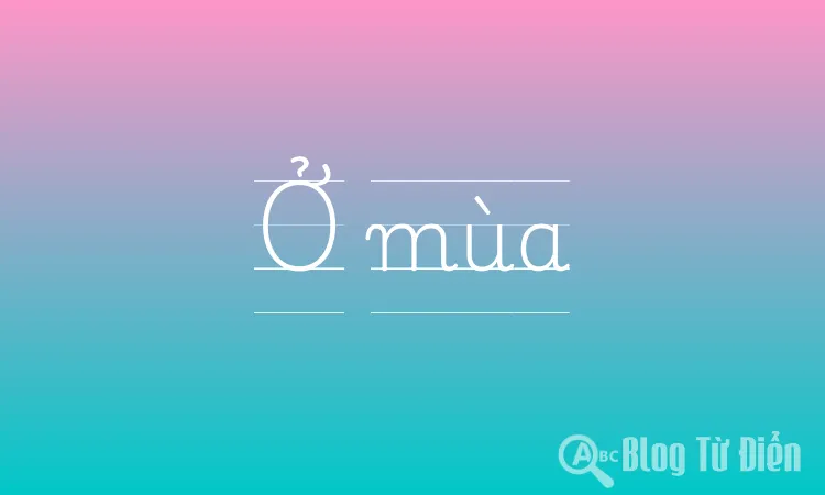 Ở mùa