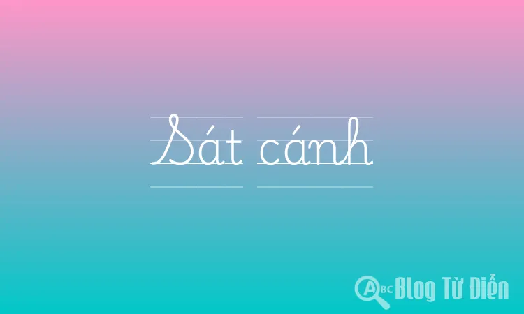 Sát cánh