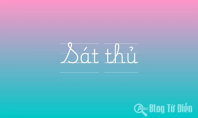 Sát thủ