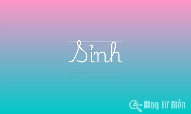 Sỉnh
