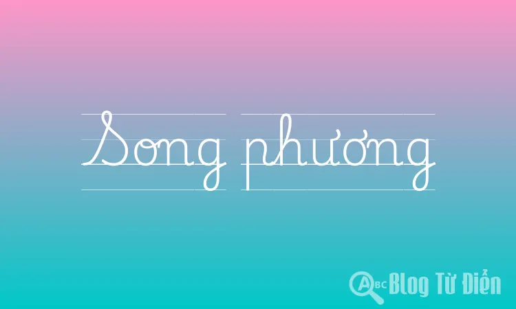 Song phương