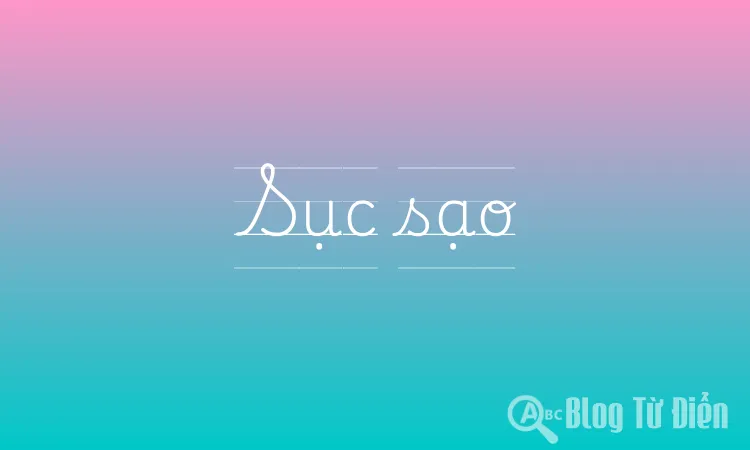 Sục sạo