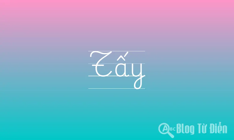 Tấy