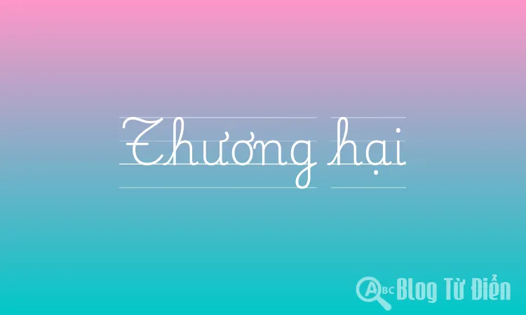 Thương hại