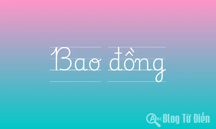 Bao đồng