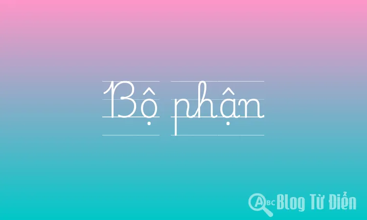 Bộ phận