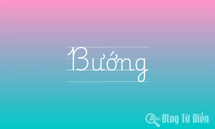 Bướng