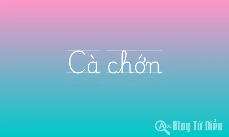 Cà chớn