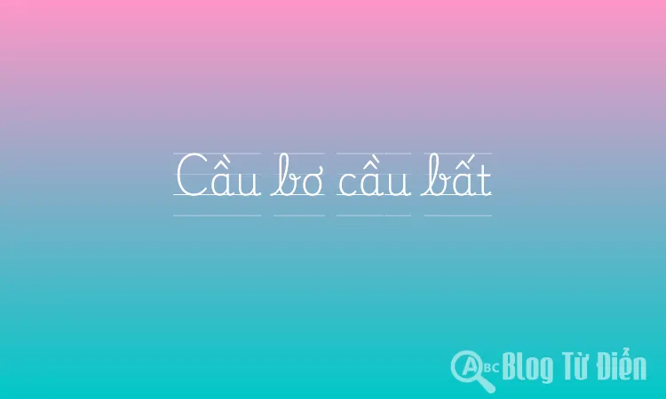 Cầu bơ cầu bất