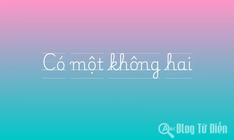Có một không hai