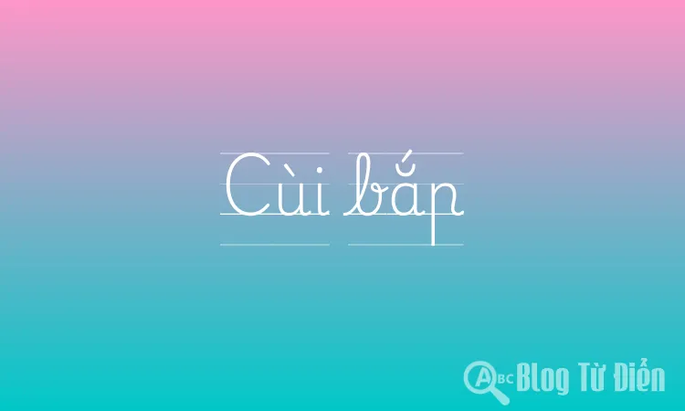 Cùi bắp