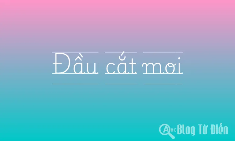 Đầu cắt moi
