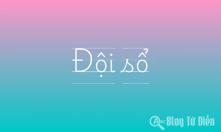 Đội sổ