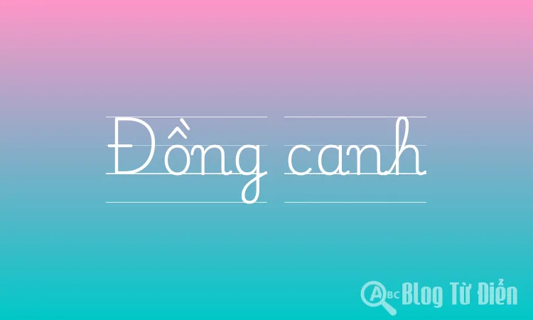 Đồng canh