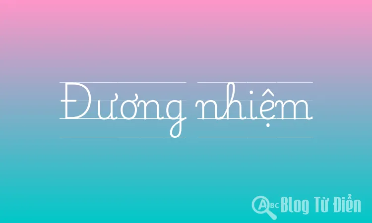 Đương nhiệm