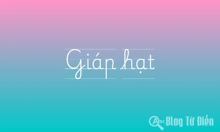 Giáp hạt