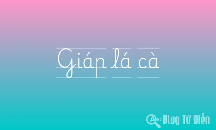 Giáp lá cà