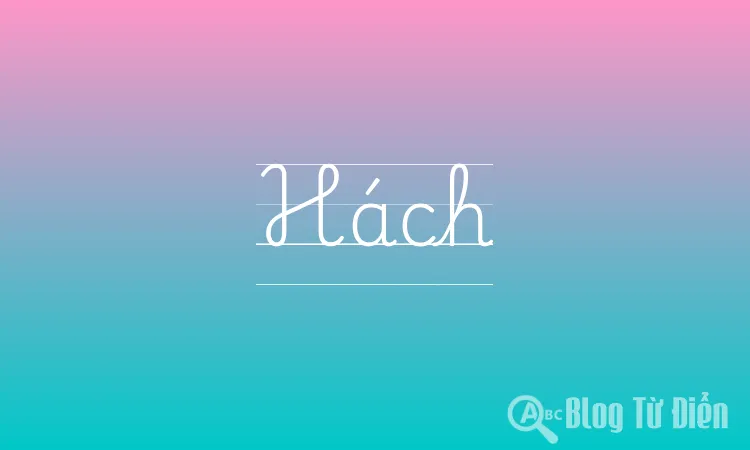 Hách