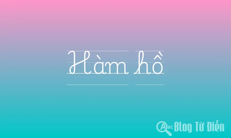 Hàm hồ