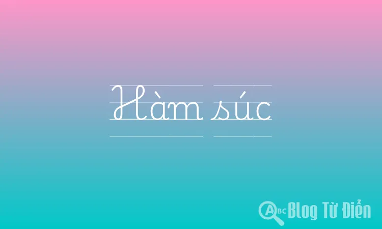 Hàm súc