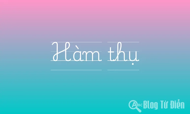 Hàm thụ