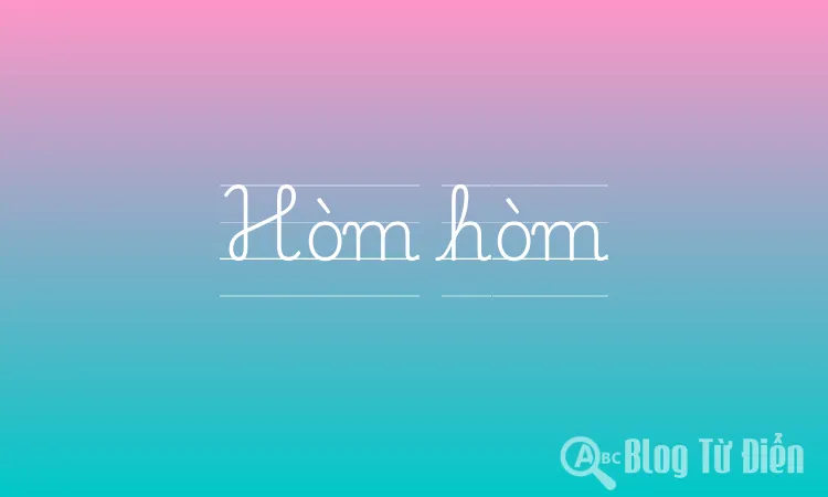 Hòm hòm