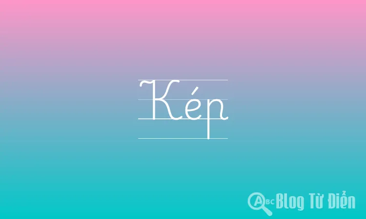 Kép