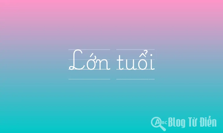 Lớn tuổi