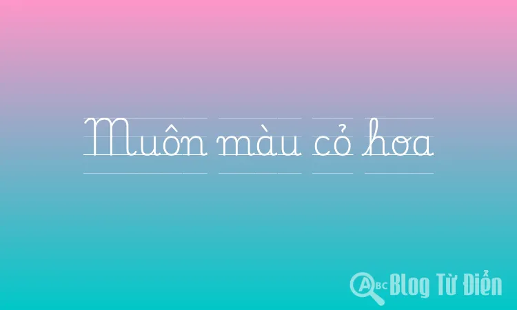 Muôn màu cỏ hoa
