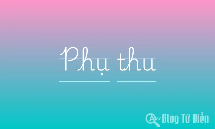 Phụ thu