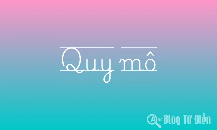 Quy mô