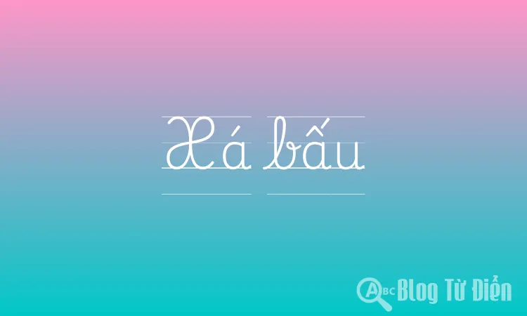 Xá bấu