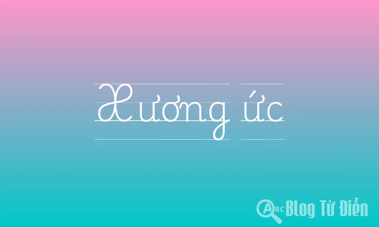 Xương ức