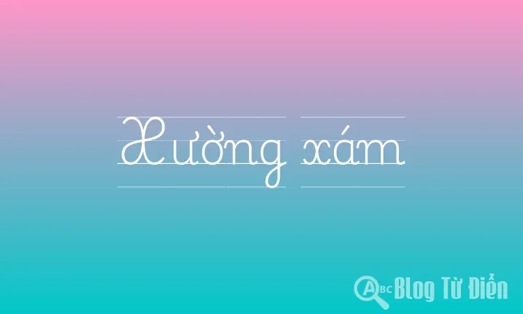 Xường xám