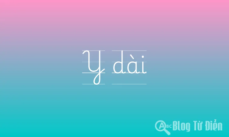 Y dài