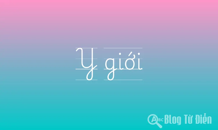 Y giới