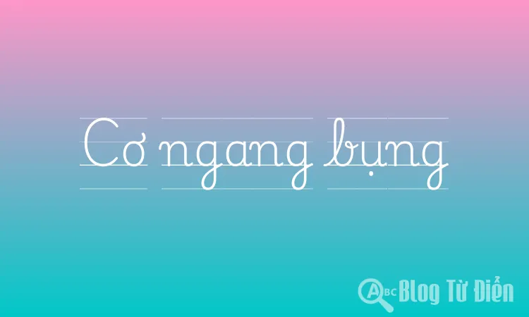 Cơ ngang bụng