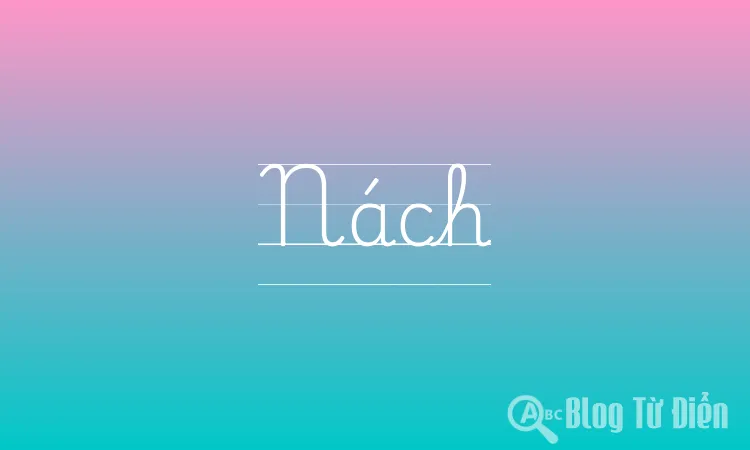 Nách