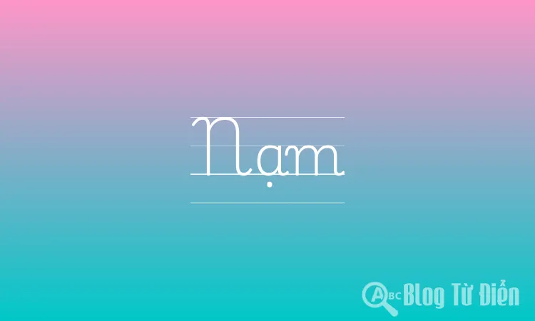 Nạm