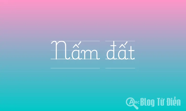 Nấm đất