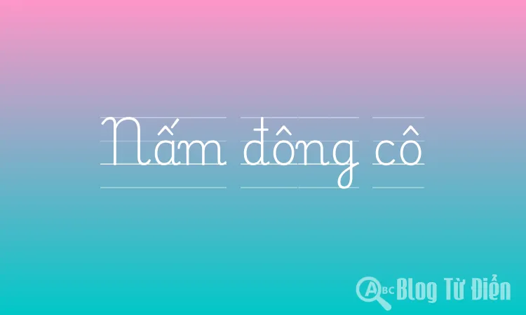 Nấm đông cô