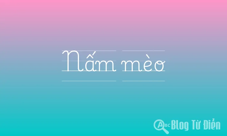 Nấm mèo